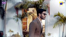 Shaidai Episode 02 [Eng Sub] - 23rd April 2026 - HAR PAL GEO