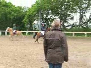 Padock brest calypso (2)