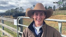 Watch the top-priced bull go under the hammer at the 2026 Hazeldean Angus Autumn Sale