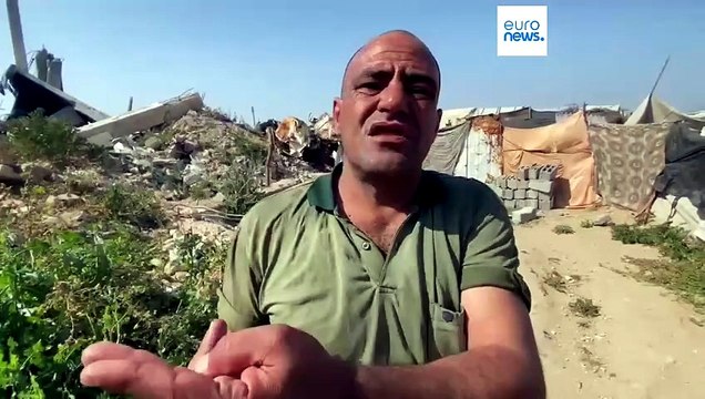 Nueva crisis sanitaria en Gaza: miles de roedores acosan a los refugiados en los campamentos