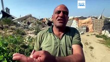 Nueva crisis sanitaria en Gaza: miles de roedores acosan a los refugiados en los campamentos