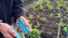 La forma más fácil y económica de mejorar la calidad del agua