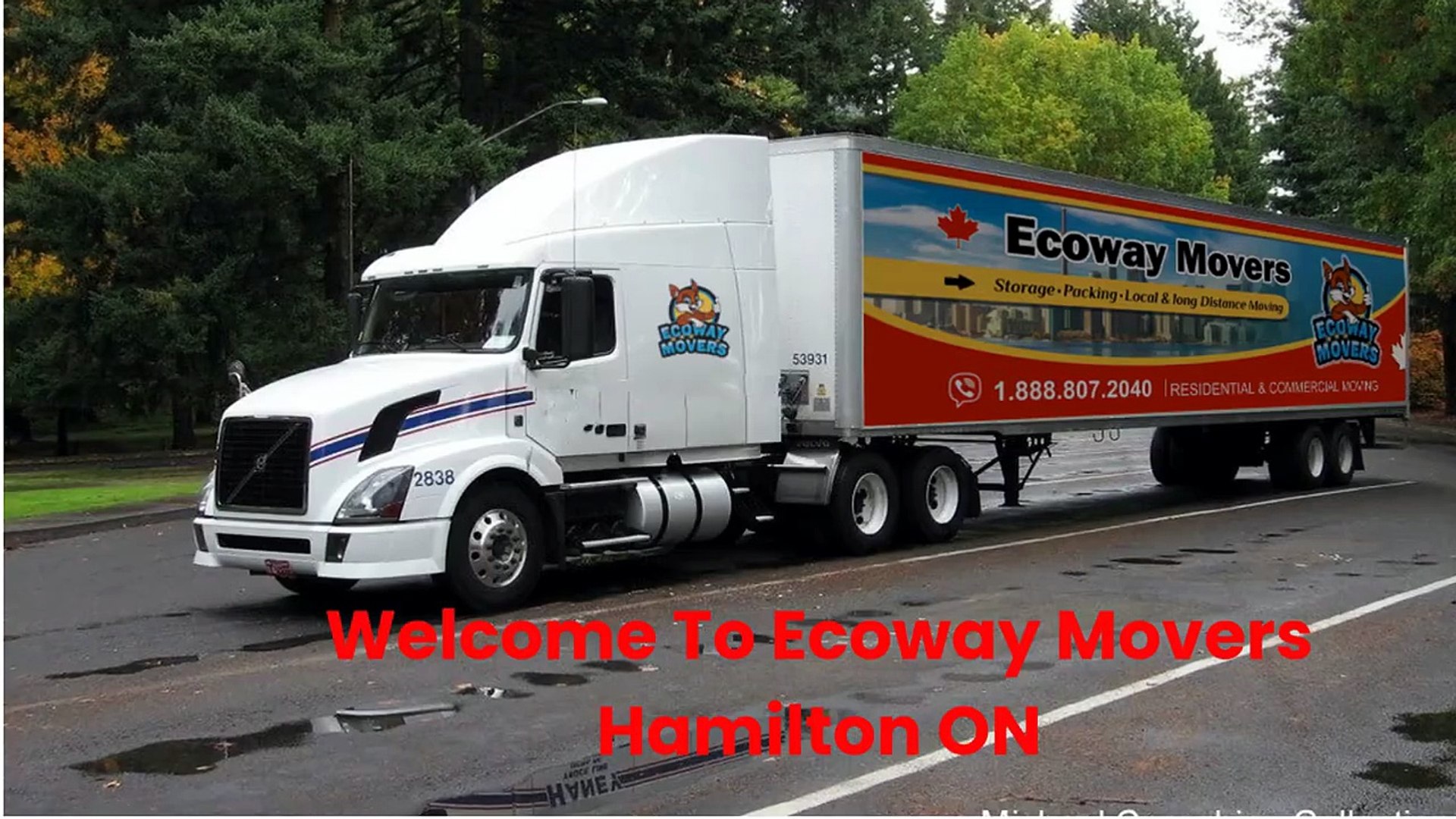 Ecoway Movers : Moving Company in Hamilton, ON | L8P 4S0