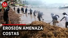 Alertan por erosión crítica en Playa del Carmen debido al aumento de sargazo