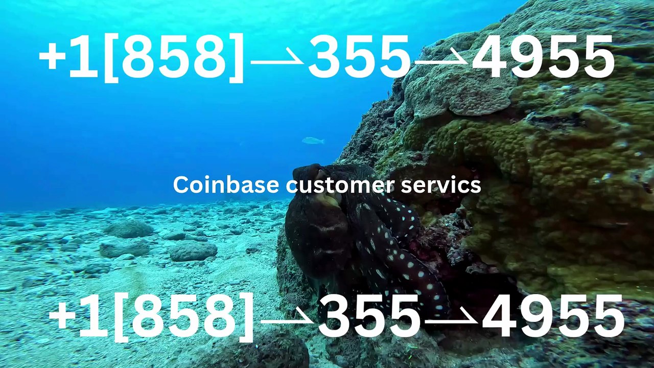 TDE!!~!!™} COmpLetE ^> Coinbase® HELP DESK© &SUPPoRT℗ Phone NuMber [TECH SUPPORT]