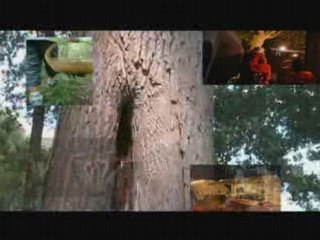 n'importe qui pour n'importe quoi 1; Twelves à voir