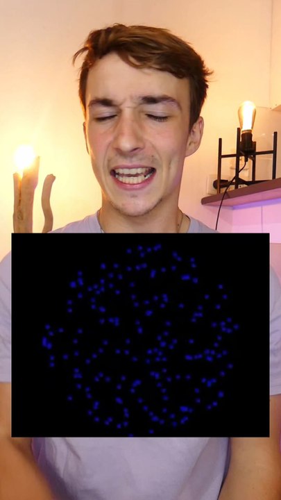 Illusion cerveau