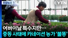 어버이날 특수지만...중동 사태에 카네이션 농가도 걱정 / YTN