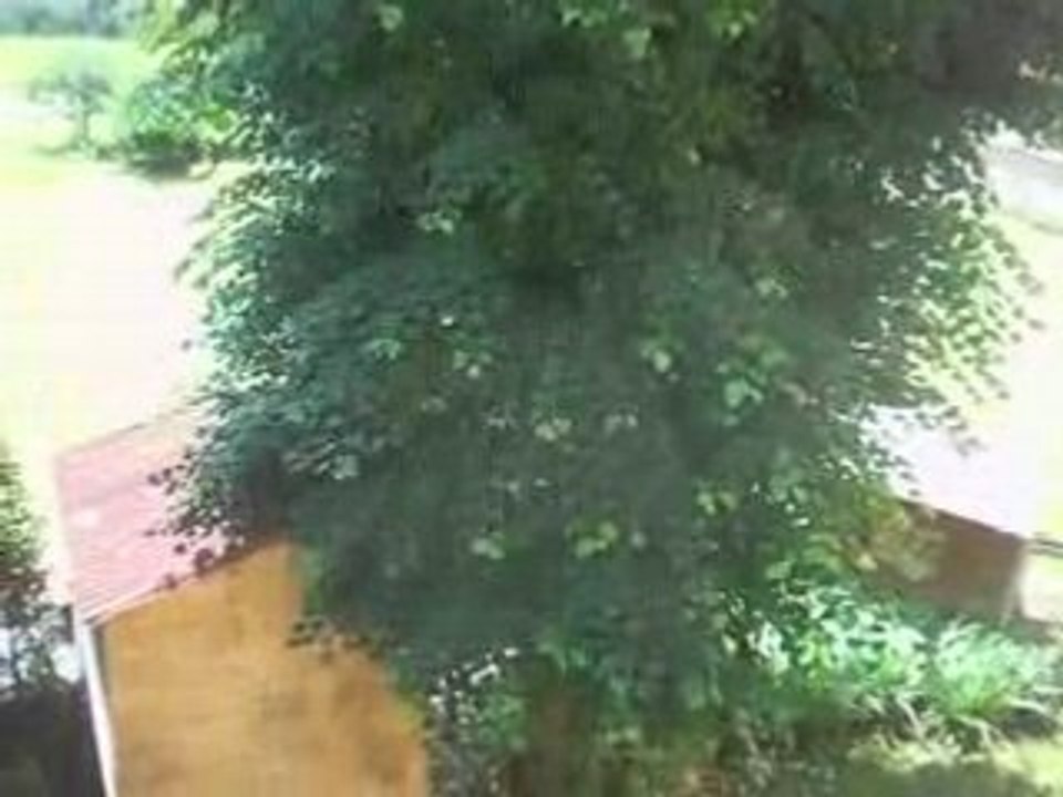 vends appartement à vendre salon roanne t2 51m vendu en benefice par zetrader