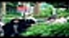 M i l l i o n   F o l l o w e r   D e t e c t i v e   S 0 1 E 0 2 [Full Movie] [Recommended]Full EP - Full