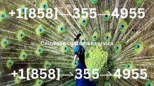 ≋{{CoMpLeTe List}} of Official Coinbase) TOLL FREE™️Phone Numbers ≋ 24/7 Live Person Assistance GUide