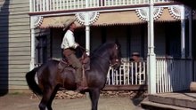 Der Mann aus Texas (1966)