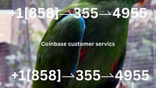 !!!!Complete List of Official Coinbase Customer Service Number, HELP-DESK Helpline 24/7
