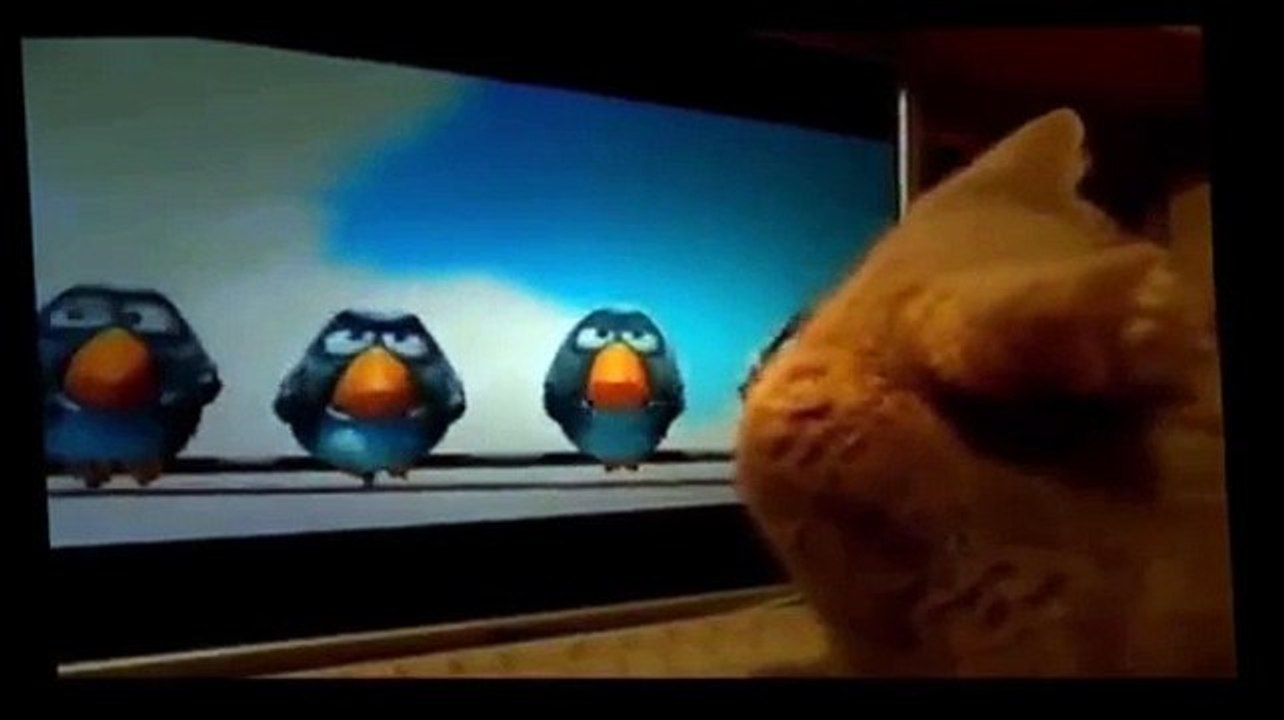 Funny Videos - Funny Animals - Funny Dogs - Funny Cats - Baby Funny - Best Funny Animals 2015