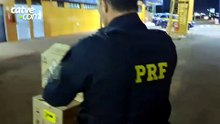 PRF apreende anabolizantes e medicamentos escondidos em caixas de inseticida na BR-277