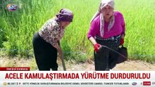 Danıştay'dan Akbelen kararı: Köylüler kazandı