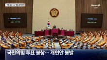 개헌안 투표에 국민의힘 불참…왜?