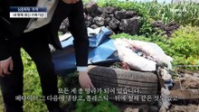 [심층취재 ‘추적’]내 땅에 쓰레기 1만t 버리고 간 트럭
