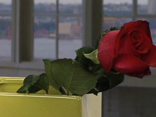 How to Keep Roses Fresh Longer