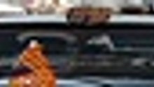 T h e   C r o w n   S 0 1 E 0 8 [Full Movie] [Full Storyline]Full EP - Full