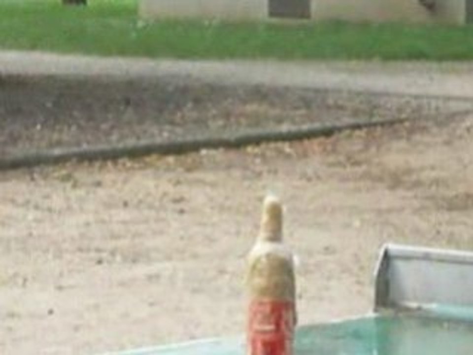 Fontaine de Coca