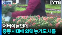 어버이날인데...중동 사태에 화훼 농가도 시름 / YTN