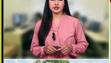 महराजगंज में भीषण सड़क हादसा | घोड़नामपुर चौराहे पर दो बाइकों की जोरदार टक्कर | 3 गंभीर घायल