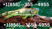 [HashTaG.#] Coinbase® WALLET CUSToMEr© SUPPoRT℗ Phone NuMber (OfficiAl)