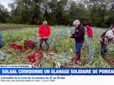 L'actualit&eacute; de la semaine du 4 au 8 mai