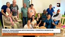Perros de terapia brindan apoyo emocional y cognitivo a pacientes en hospitales de Misiones.mp4