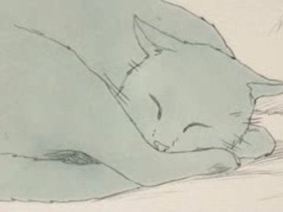 Le chat, miroir de l'homme / extrait n°2