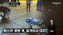 [김종석의 리포트]허스키 vs 로봇 개…팽팽한 신경전