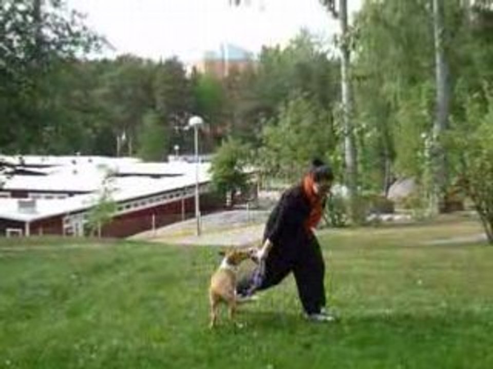 Ligg under gång.