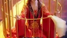 Her Radiance His Path  [Full Movie] [Full Story]Full EP - Full