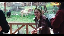 مسلسل البراني2 الحلقة 4 كاملة HD | جزائري
