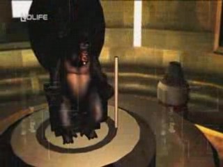 [NOLIFE] DEMO - SHAD 3 - COCOON