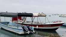 Colorful Tourist Boats at Yanbu Jetty Marina in Saudi Arabia