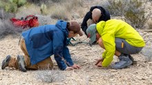 New Species Discovered in National Park After 50-Year Gap