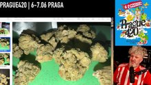 Recenzja pave bez cenzury