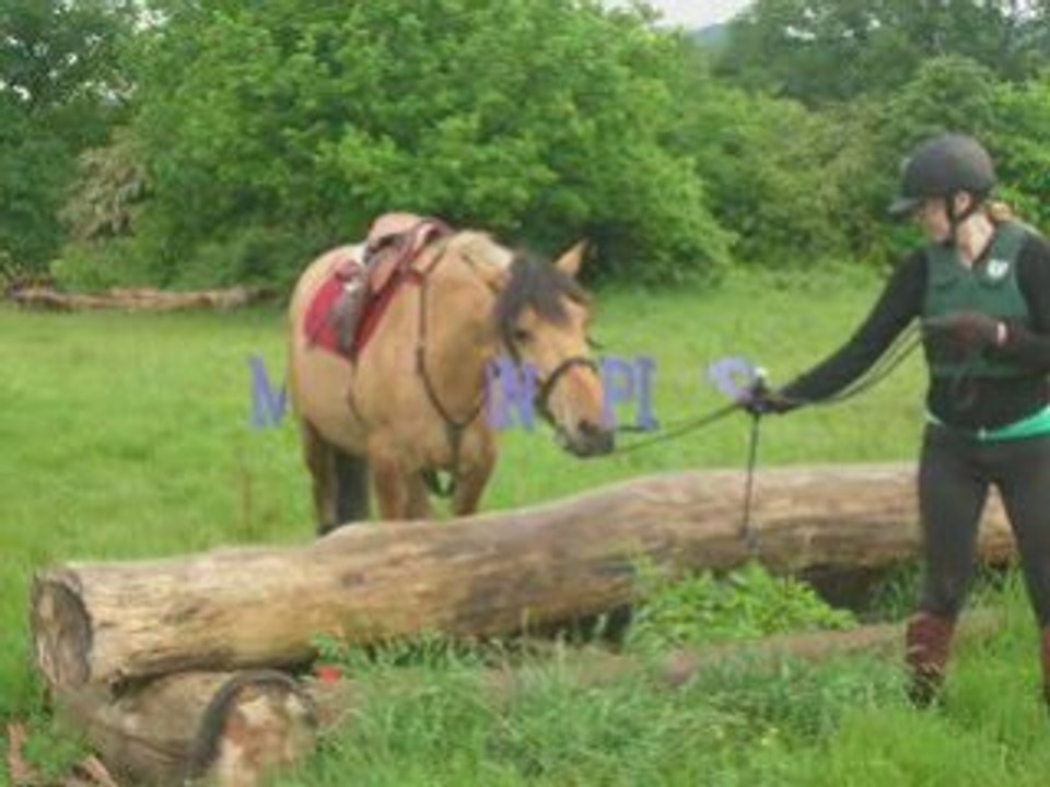 Heidi au cross cernay