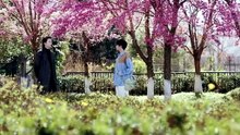 EP 3 The Gaze (2026) Eng Sub