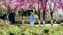 EP 3 The Gaze (2026) Eng Sub