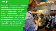 Ansa VERIFIED - Un consumo moderato di caffeina puo' davvero ridurre il rischio di demenza?