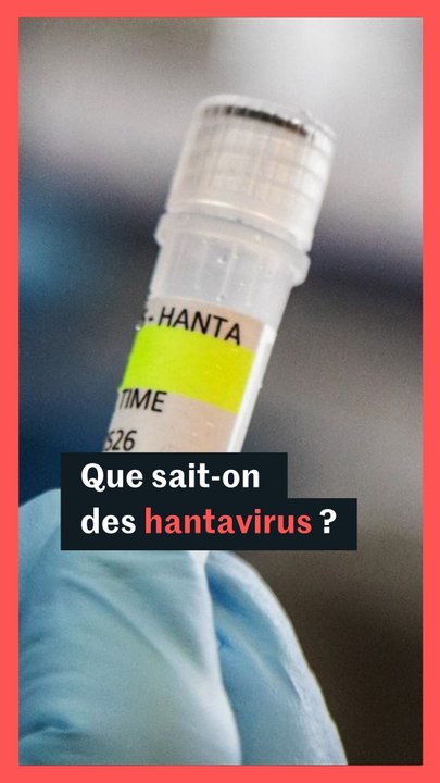 Hantavirus : que sait-on sur cette famille de virus ?