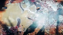 Desert Warrior [Hindi][CAM]-480P