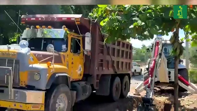 Denuncian tala de árboles en el Santo Cerro deja daños ambientales y amenaza comunidades
