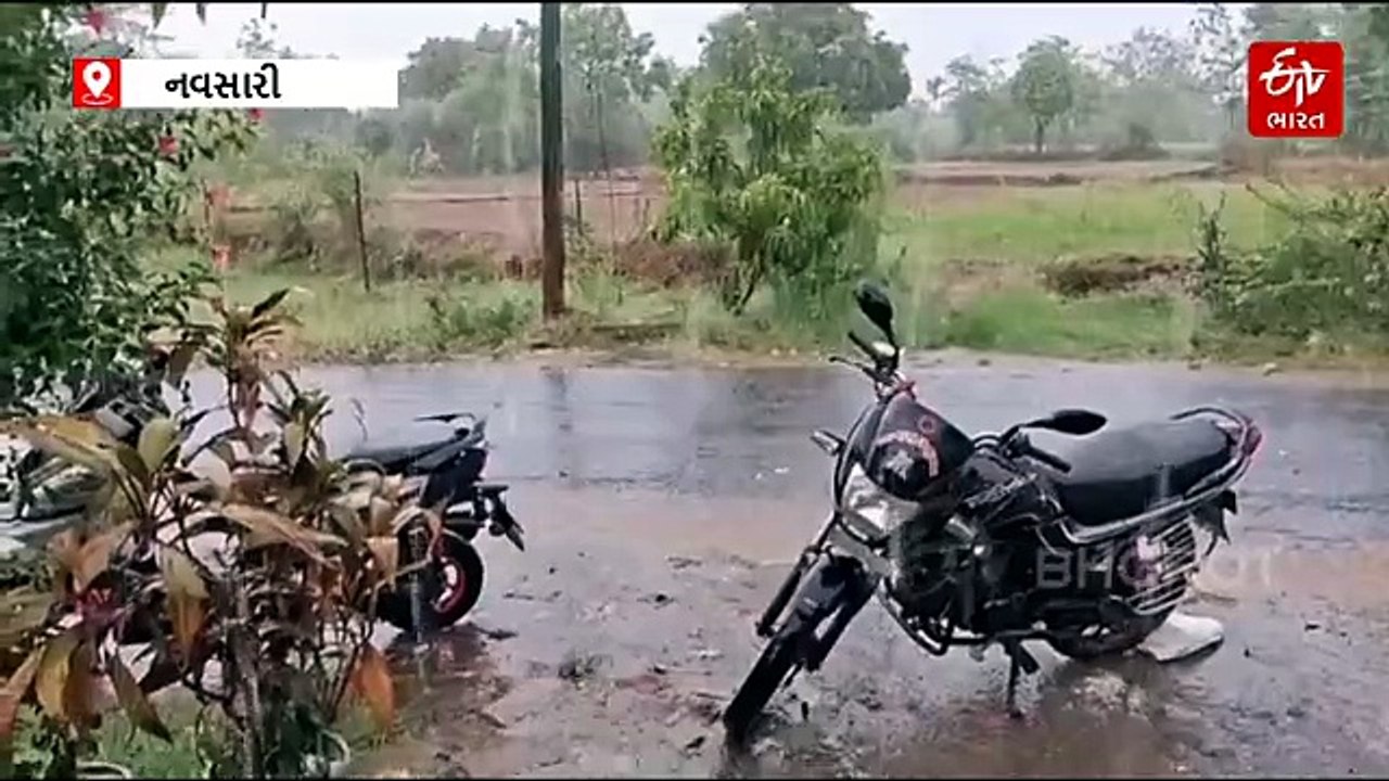 નવસારી જિલ્લામાં ભર ઉનાળે ચોમાસું, ડાંગર અને કે...