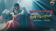 Shaidai Episode 06 [Eng_Sub]_Presented_by_Happilac_Paints___Ujooba_Beauty_Cream_-_7th_May_2026(360p)