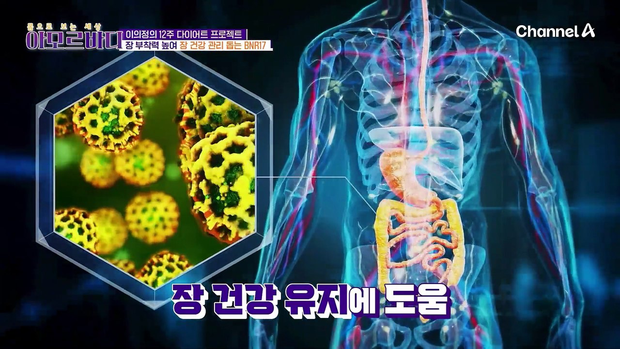 체지방 감소를 돕는 BNR17? 그게 뭔데요?!