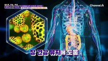 체지방 감소를 돕는 BNR17? 그게 뭔데요?!